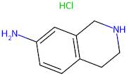 1,2,3,4-Tetrahydroisoquinolin-7-amine hydrochloride