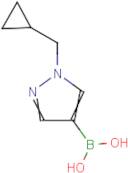 1-(Cyclopropylmethyl)pyrazole-4-boronic acid