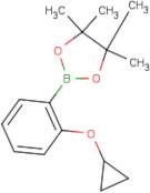 2-Cyclopropyloxybenzeneboronic acid, pinacol ester