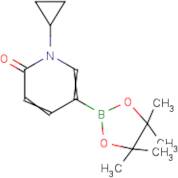 1-Cyclopropyl-5-(4,4,5,5-tetramethyl-1,3,2-dioxaborolan-2-yl)pyridin-2(1h)-one