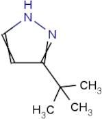 3-tert-Butyl-1H-pyrazole