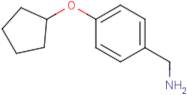 4-(Cyclopentyloxy)benzylamine