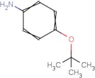 4-tert-Butoxyaniline