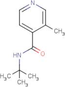 N-tert-Butyl-3-methylpyridine-4-carboxamide