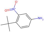 4-tert-Butyl-3-nitroaniline