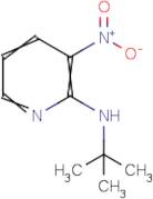 N-tert-Butyl-3-nitropyridin-2-amine