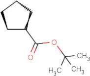 tert-Butyl 5-norbornene-2-carboxylate