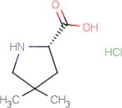 (S)-4,4-Dimethylpyrrolidine-2-carboxylic acid, HCl