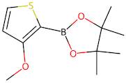 2-(3-Methoxythiophen-2-yl)-4,4,5,5-tetramethyl-1,3,2-dioxaborolane