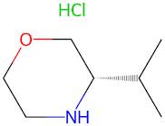 (S)-3-Isopropylmorpholine hydrochloride