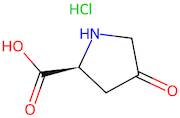 (S)-4-oxopyrrolidine-2-carboxylic acid hydrochloride