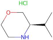 (R)-3-Isopropylmorpholine hydrochloride