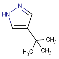 4-tert-Butyl-1H-pyrazole