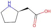 (R)-2-(Pyrrolidin-2-yl)acetic acid