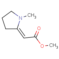 Methyl 2-(1-methyl-2-pyrrolidylidene)acetate