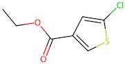 Ethyl 5-chlorothiophene-3-carboxylate