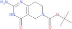 tert-Butyl 2-amino-4-oxo-3,4,7,8-tetrahydropyrido[4,3-d]pyrimidine-6(5H)-carboxylate