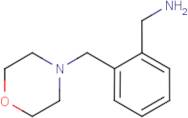 1-[2-(Morpholin-4-ylmethyl)phenyl]methylamine