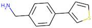 [4-(Thien-3-yl)phenyl]methylamine