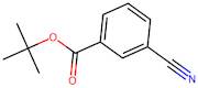 tert-Butyl 3-cyanobenzoate