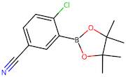 2-Chloro-5-cyanophenyl boronic acid pinacol ester