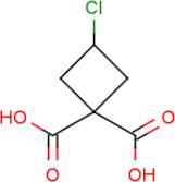 3-Chloro-cyclobutane-dicarboxylic acid