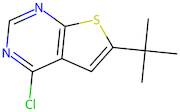 6-(tert-Butyl)-4-chlorothieno[2,3-d]pyrimidine