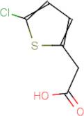 (5-Chloro-2-thienyl)acetic acid