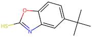 5-tert-Butyl-1,3-benzoxazole-2-thiol