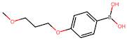 (4-(3-Methoxypropoxy)phenyl)boronic acid