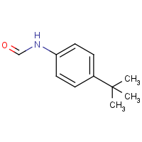 N-(4-tert-Butyl-phenyl)-formamide