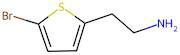 2-(5-Bromo-2-thienyl)ethylamine