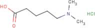5-(Dimethylamino)-pentanoic acid hydrochloride