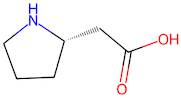 (S)-2-(Pyrrolidin-2-yl)acetic acid