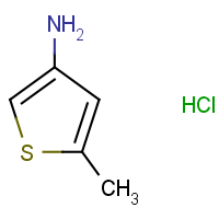 5-Methylthiophen-3-amine hydrochloride