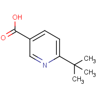 6-tert-Butylnicotinic acid