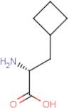 (R)-3-Cyclobutylalanine