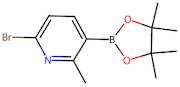 6-Bromo-2-methylpyridine-3-boronic acid pinacol ester