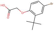 2-(4-Bromo-2-(tert-butyl)phenoxy)acetic acid