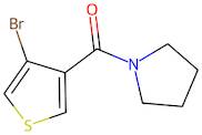 (4-Bromothiophen-3-yl)(pyrrolidin-1-yl)methanone