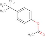 4-tert-Butylphenyl acetate