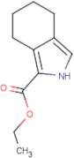Ethyl 4,5,6,7-tetrahydroisoindole-1-carboxylate