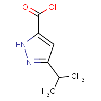 5-Isopropyl-2H-pyrazole-3-carboxylic acid