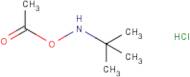 O-Acetyl-N-tert-butylhydroxylamine hydrochloride