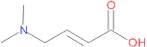 (2E)-4-(Dimethylamino)but-2-enoic acid