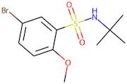 5-Bromo-N-tert-butyl-2-methoxybenzenesulphonamide