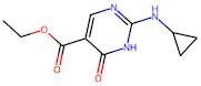 Ethyl 2-(cyclopropylamino)-6-oxo-1,6-dihydropyrimidine-5-carboxylate