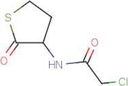 2-Chloro-N-(2-oxothiolan-3-yl)acetamide
