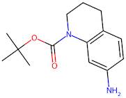 tert-Butyl 7-amino-3,4-dihydroquinoline-1(2H)-carboxylate