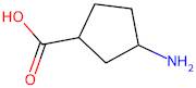 3-Aminocyclopentane-1-carboxylic acid